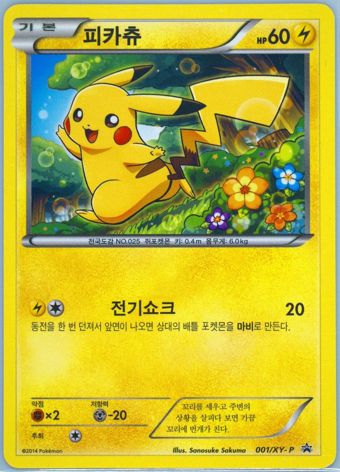 Pikachu Pokemon School (001) 2016 Pokemon Korean XY Promo