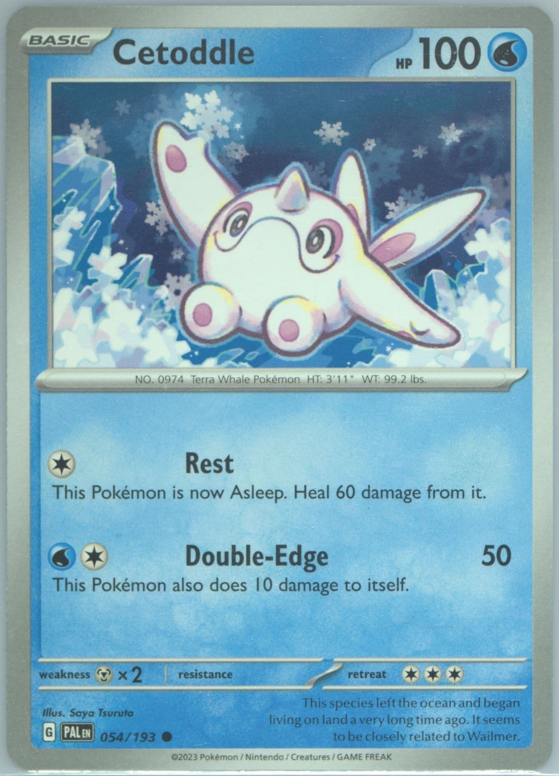 Cetoddle (054) 2023 Pokemon Pal EN-Paldea Evolved