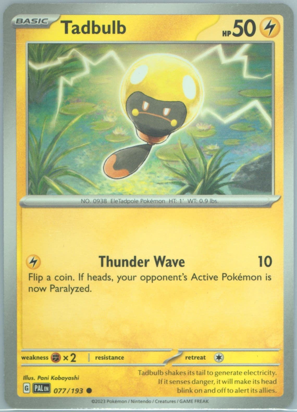Tadbulb (077) 2023 Pokemon Pal EN-Paldea Evolved