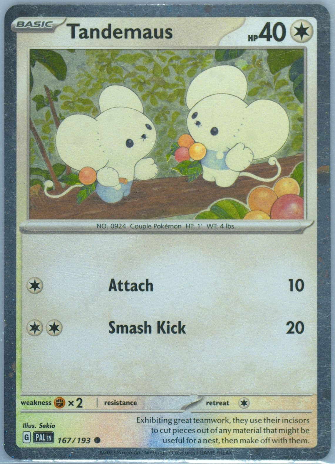 Tandemaus (167) 2023 Pokemon Pal EN-Paldea Evolved
