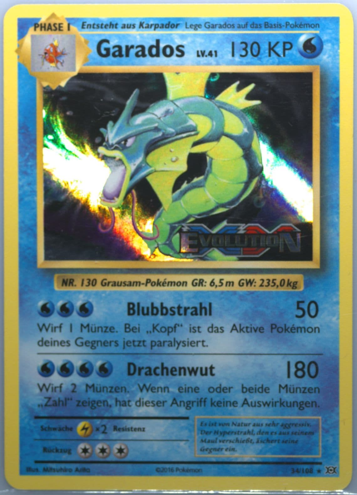 Garados-Holo Prerelease-German (34) 2016 Pokemon XY Evolutions