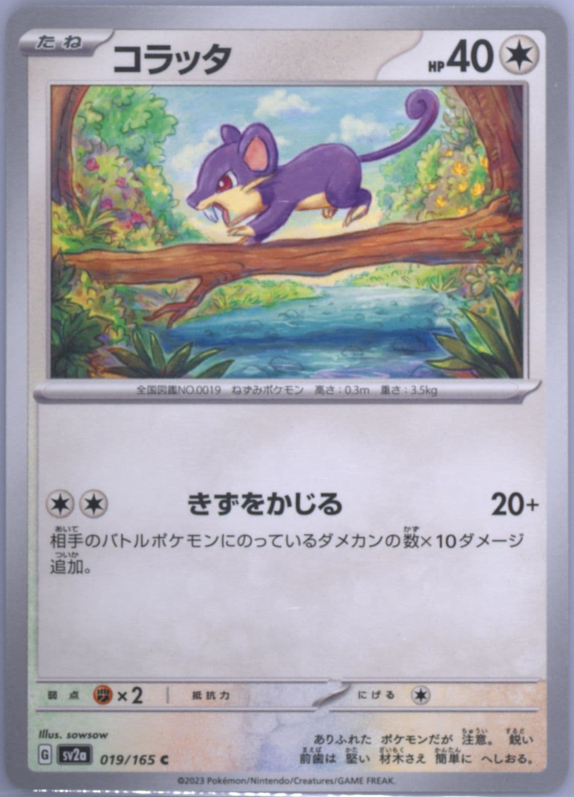 Rattata (019) 2023 Pokemon Japanese Sv2a-Pokemon 151