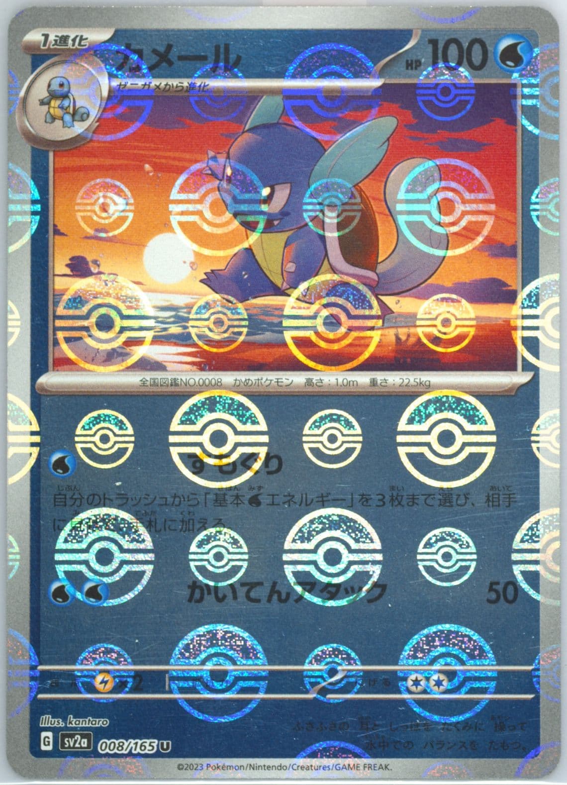Wartortle Reverse Holo (008) 2023 Pokemon Japanese Sv2a-Pokemon 151