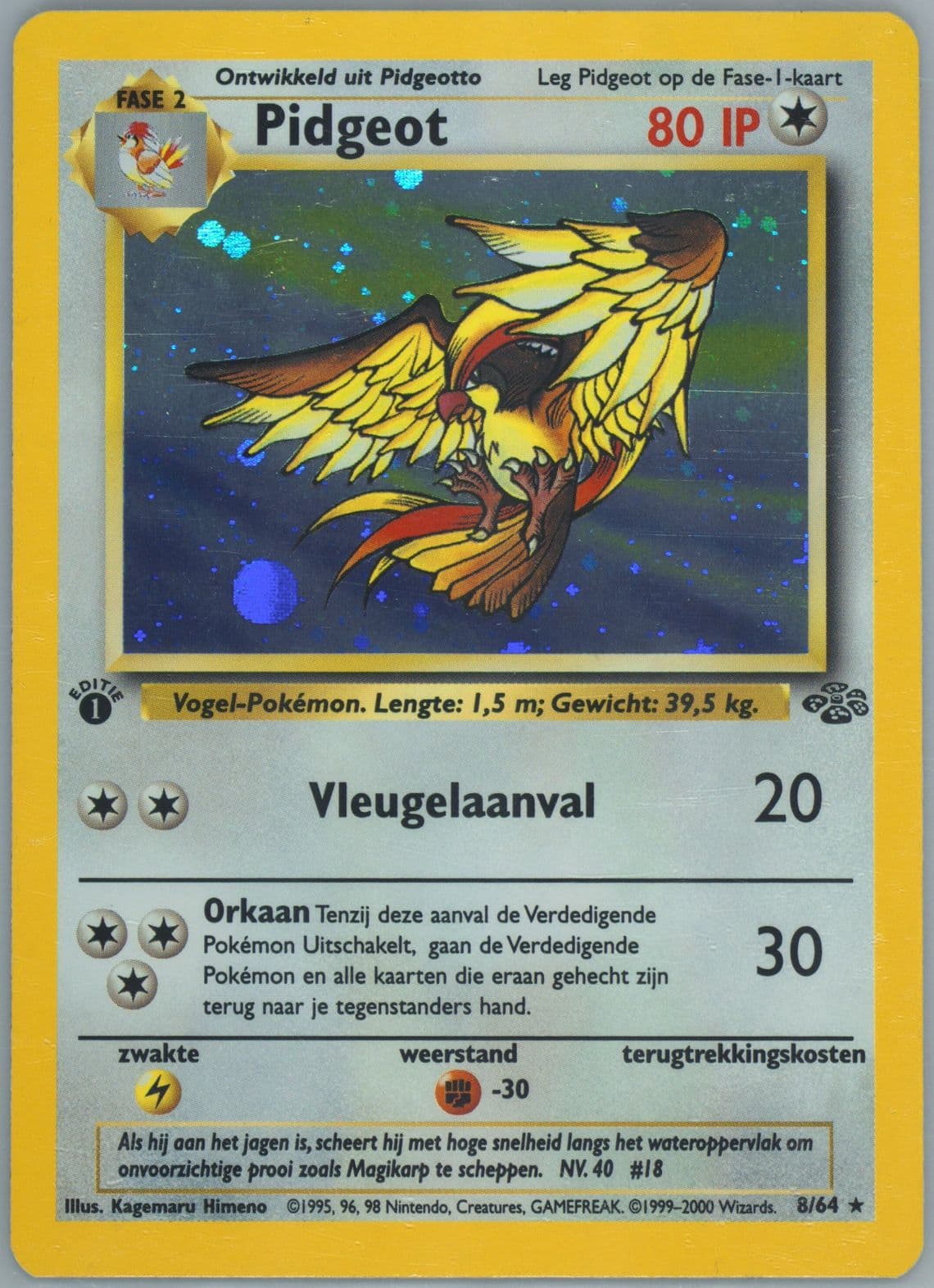 Pidgeot 1st Edition (8) 2000 Pokemon Dutch Jungle