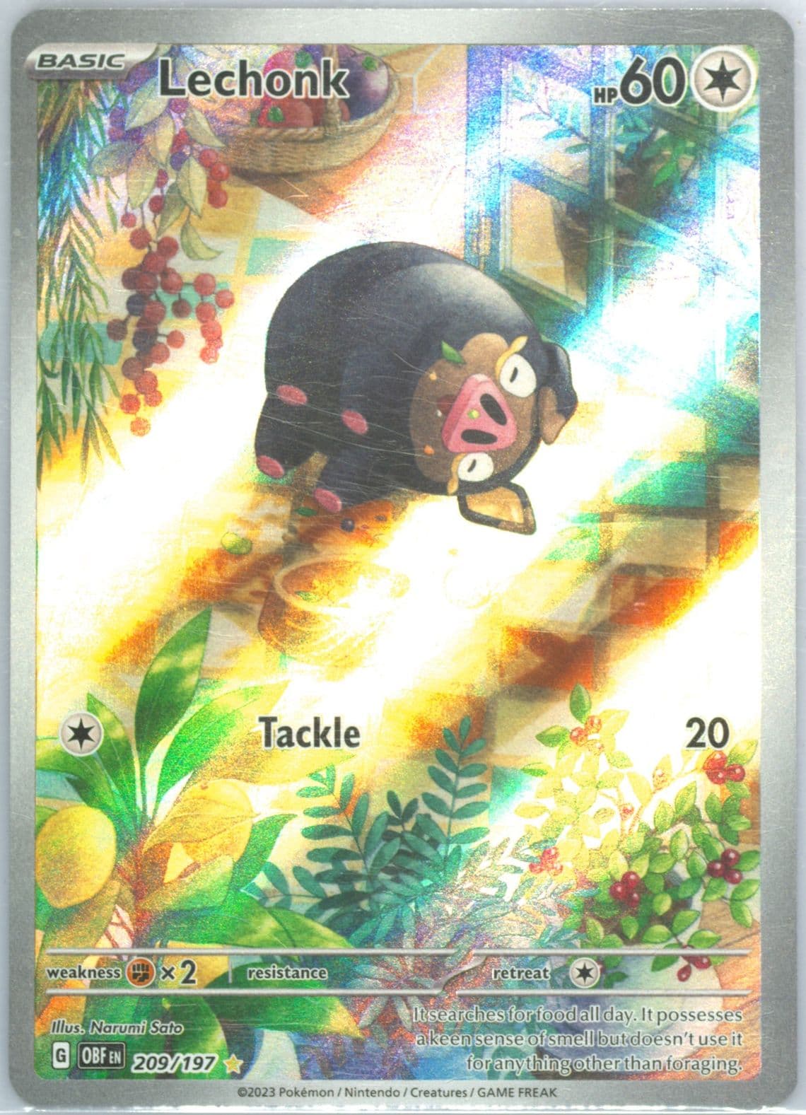 Lechonk Illustration Rare (209) 2023 Pokemon Obf EN-Obsidian Flames
