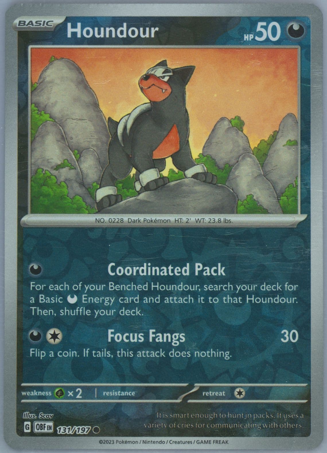 Houndour (131) 2023 Pokemon Obf EN-Obsidian Flames