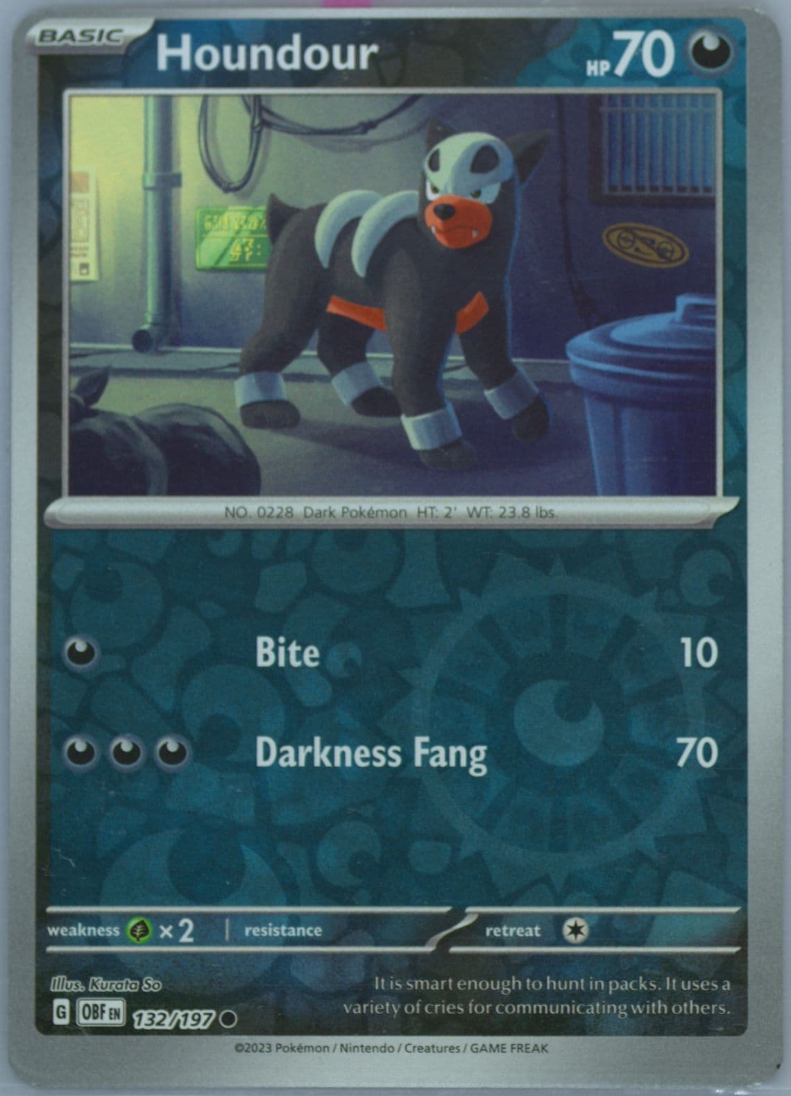 Houndour (132) 2023 Pokemon Obf EN-Obsidian Flames