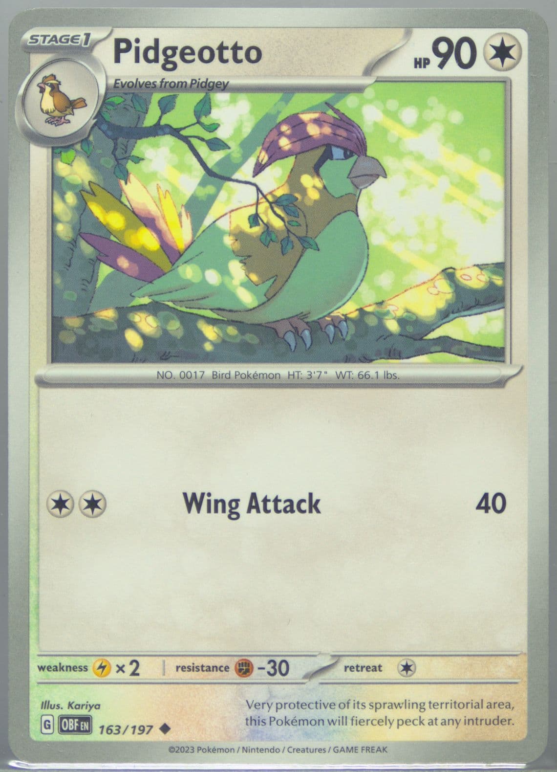 Pidgeotto (163) 2023 Pokemon Obf EN-Obsidian Flames