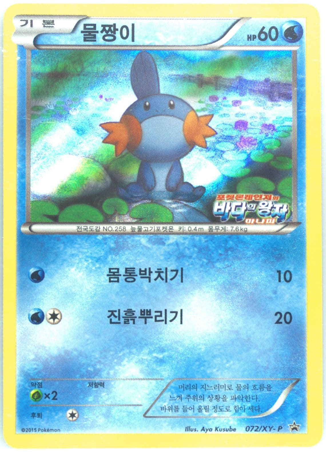 Mudkip Ranger and the Temple of the Sea Theatrical Release (072) 2015 Pokemon Korean XY Promo
