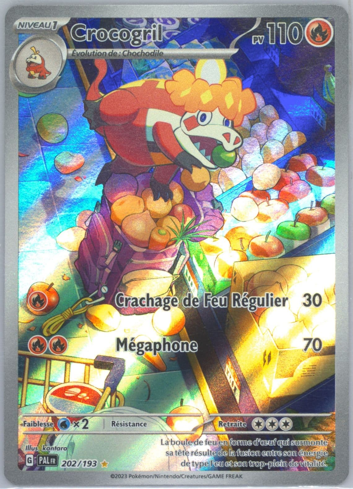 Crocalor Illustration Rare (202) 2023 Pokemon French Pal FR-Paldea Evolved
