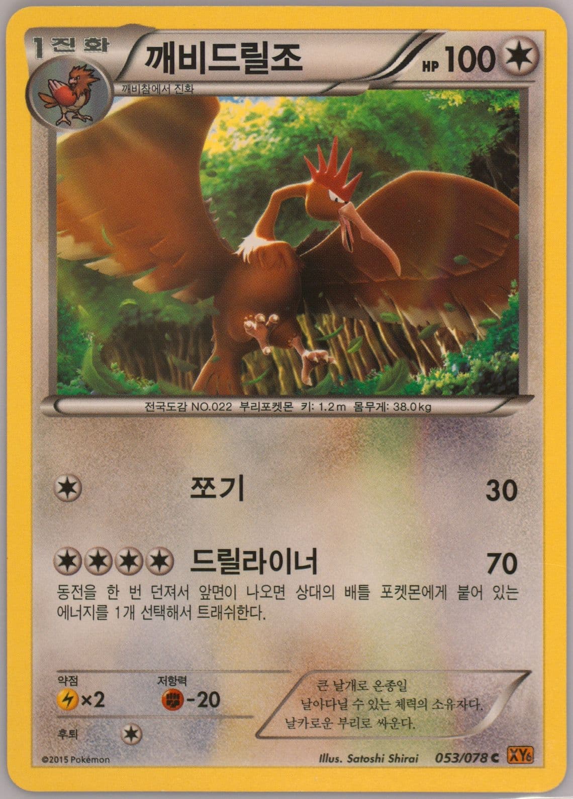 Fearow (053) 2015 Pokemon Korean XY Emerald Break
