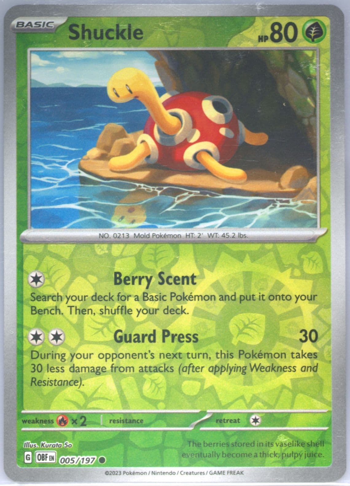 Shuckle Reverse Holo (005) 2023 Pokemon Obf EN-Obsidian Flames