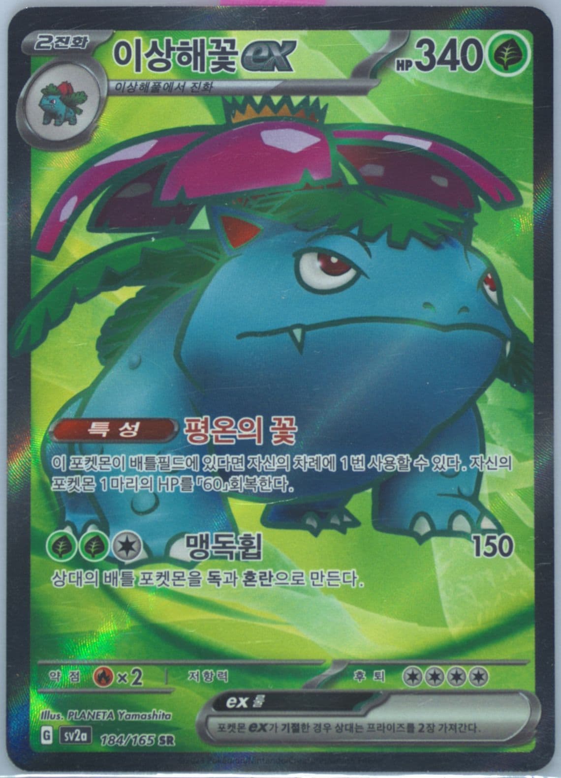 Venusaur EX Super Rare (184) 2023 Pokemon Korean Sv2a-Pokemon 151