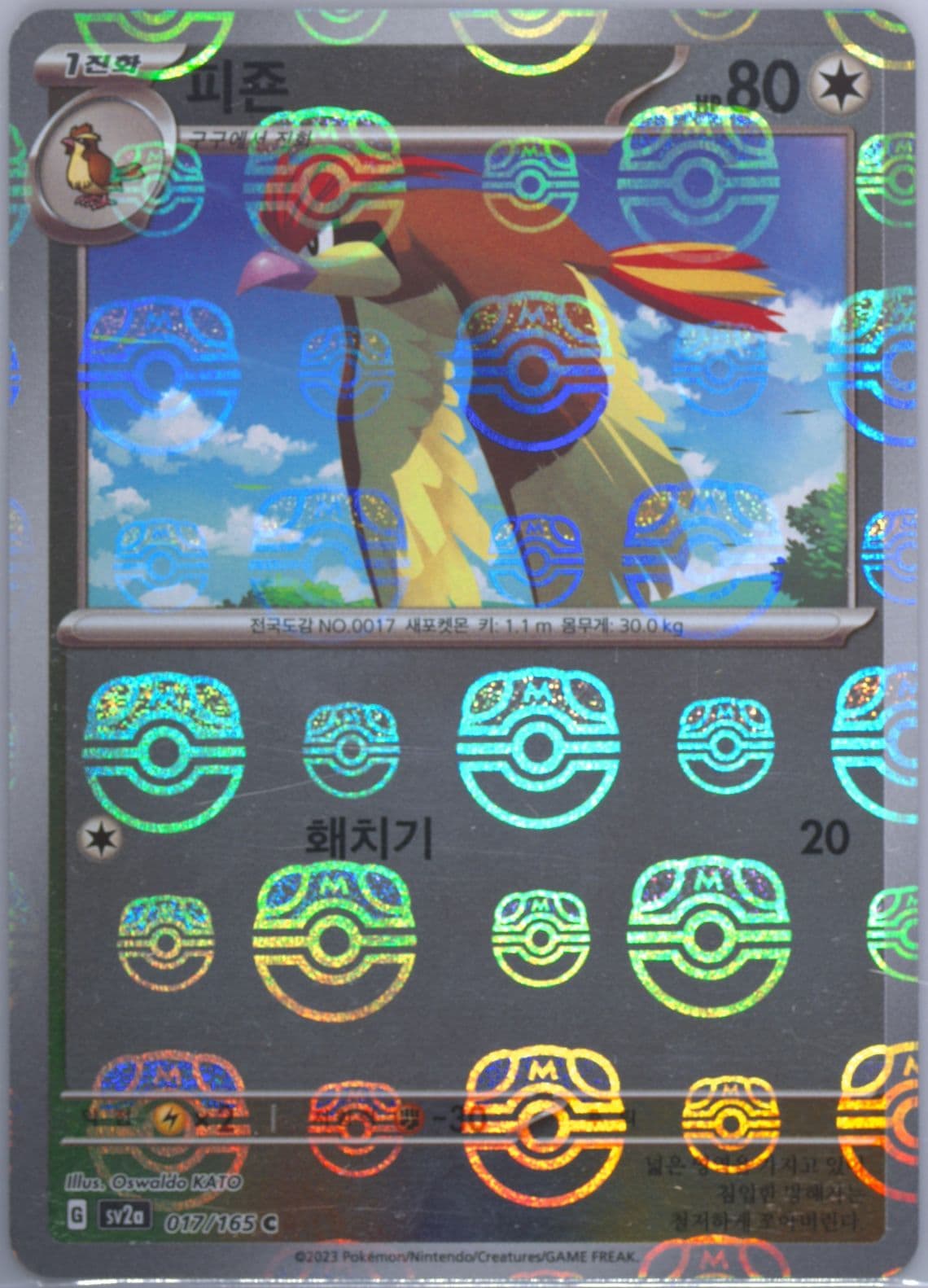 Pidgeotto Master Ball Reverse Holo (017) 2023 Pokemon Korean Sv2a-Pokemon 151