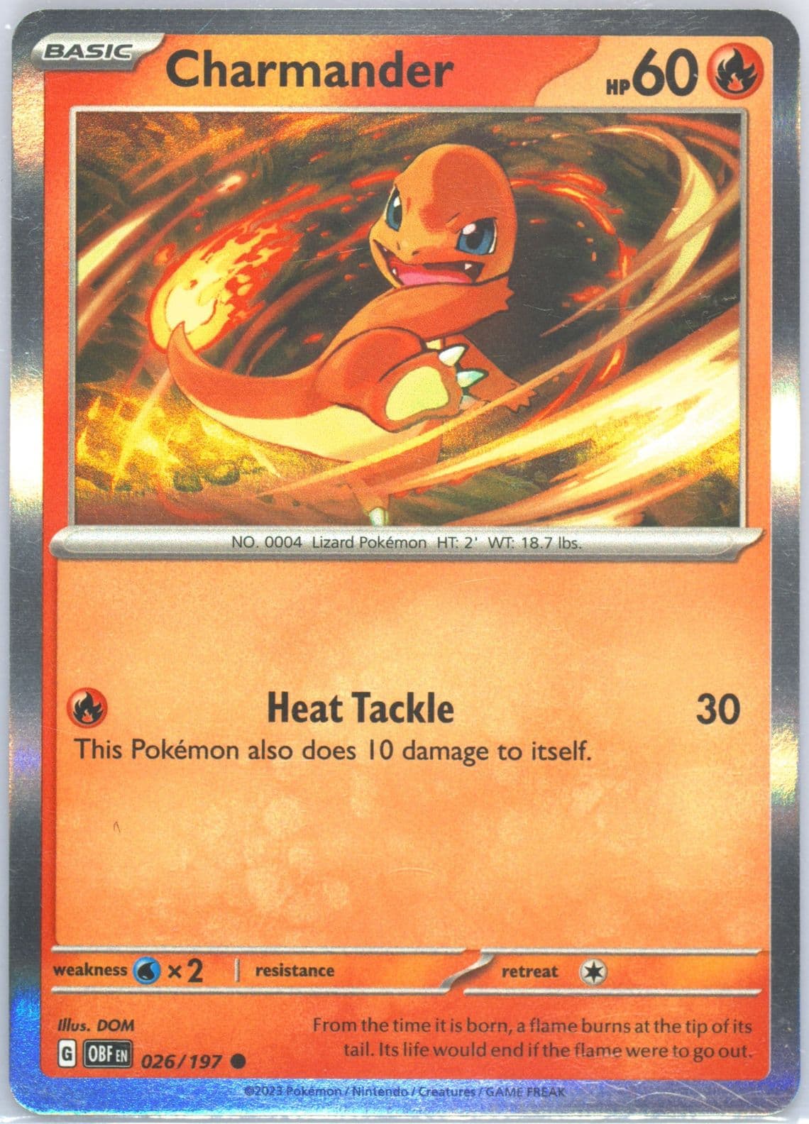 Charmander Charizard EX Premium Collection (026) 2023 Pokemon Obf EN-Obsidian Flames