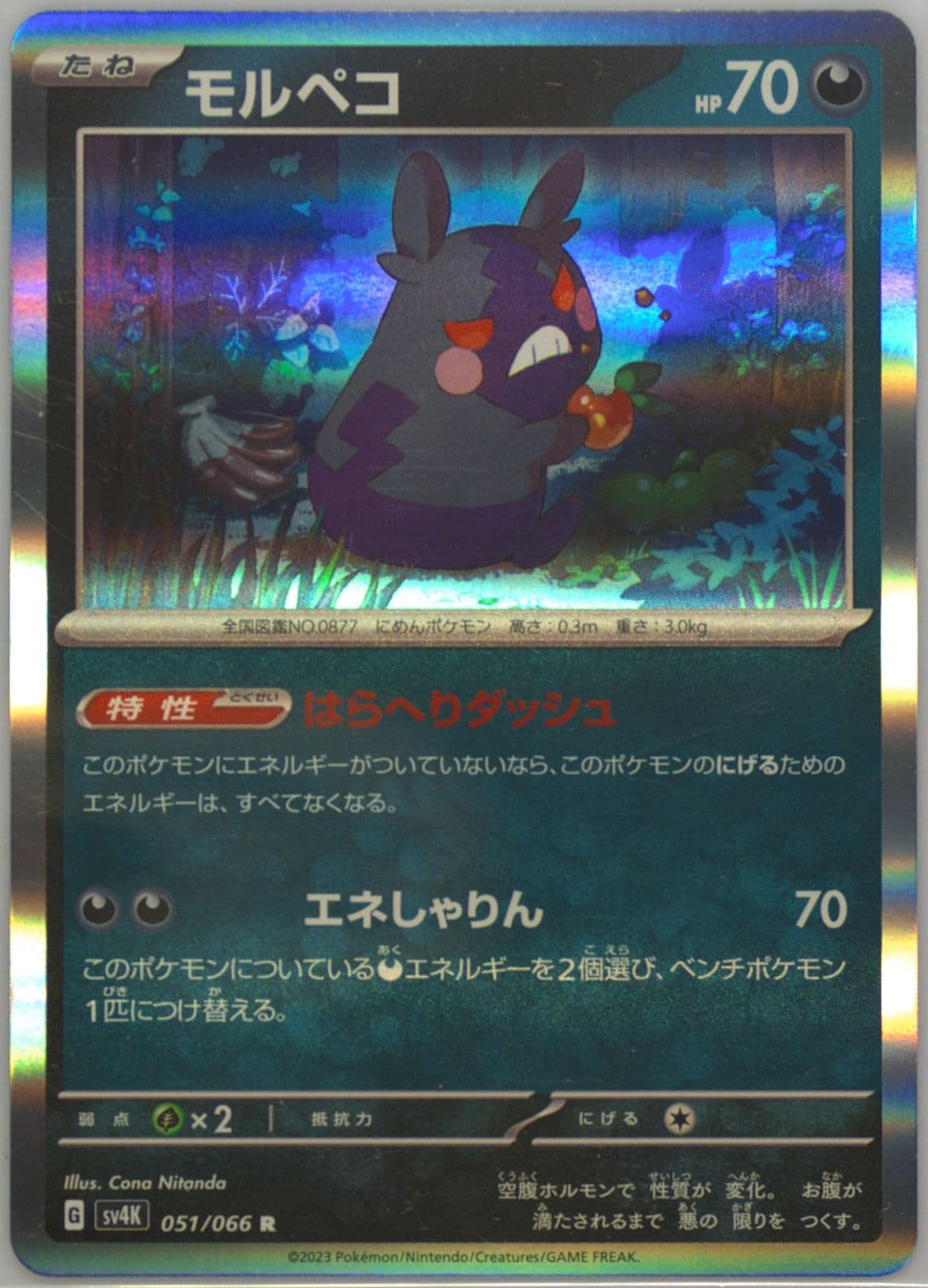 Morpeko (051) 2023 Pokemon Japanese Sv4k-Ancient Roar