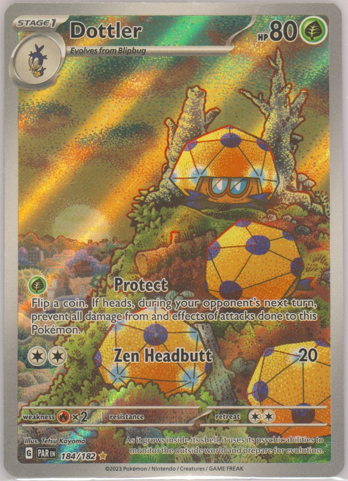 Dottler Illustration Rare (184) 2023 Pokemon Par EN-Paradox Rift