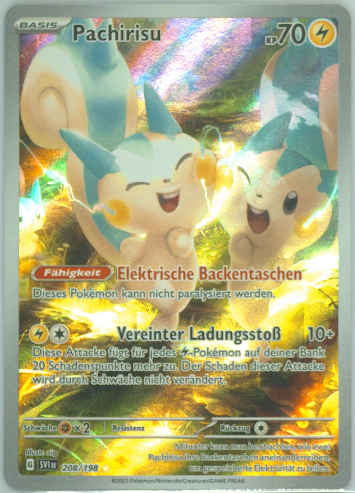 Pachirisu Illustration Rare (208) 2023 Pokemon German Svi de-Scarlet & Violet