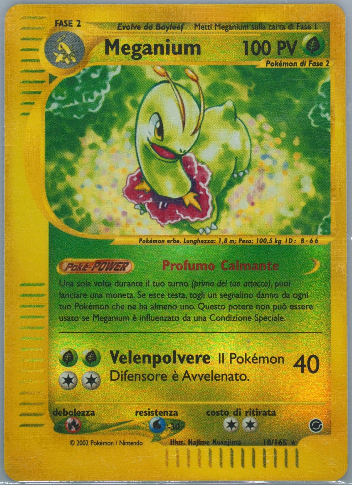 Meganium-Reverse Foil Italian (18) 2002 Pokemon Expedition