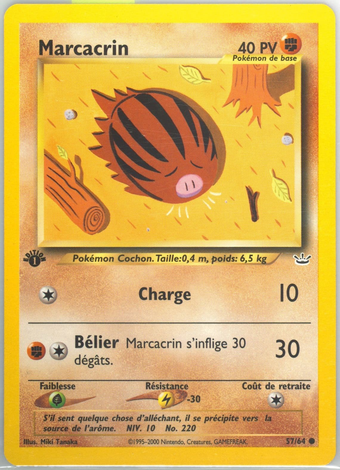 Marcacrin 1st Edition (57) 2002 Pokemon French Neo Revelation
