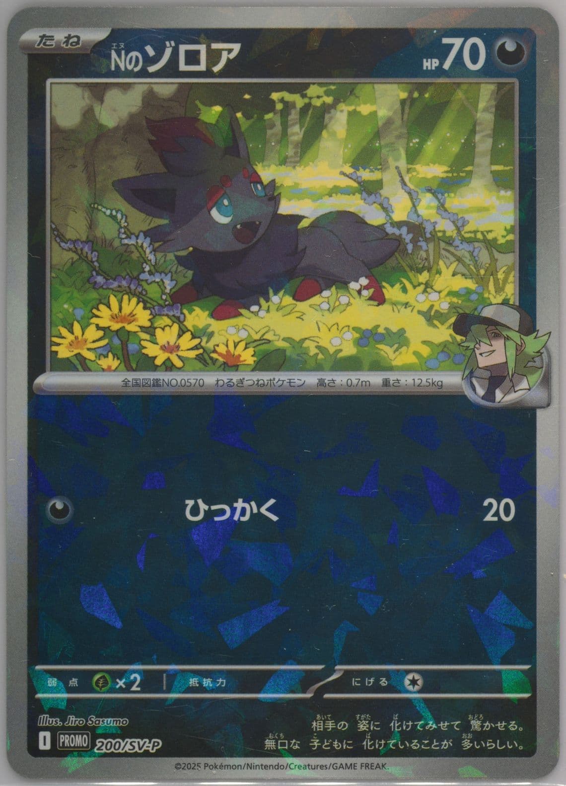N's Zorua Collection File Set N (200) 2025 Pokemon Japanese SV-P Promo